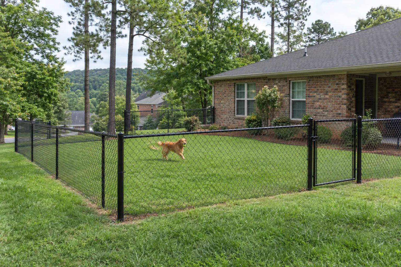 Chain Link Fences in Birmingham, AL